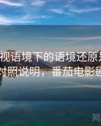 番茄影视语境下的语境还原是什么：对照说明，番茄电影剧