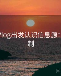 从糖心Vlog出发认识信息源：背后机制