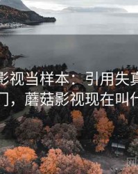 把蘑菇影视当样本：引用失真的概念入门，蘑菇影视现在叫什么