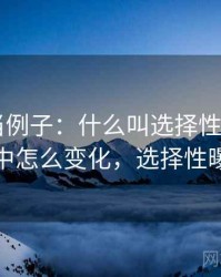 拿觅圈当例子：什么叫选择性曝光——在传播中怎么变化，选择性曝光理论