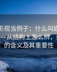 拿柚子影视当例子：什么叫媒体素养小工具——从结构上怎么辨，媒体素养的含义及其重要性