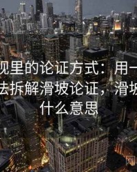 柚子影视里的论证方式：用一图一概念的讲法拆解滑坡论证，滑坡论证是什么意思