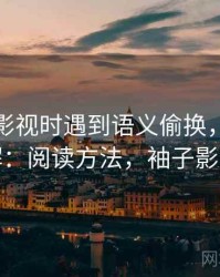 读柚子影视时遇到语义偷换，该怎么理解：阅读方法，袖子影视说