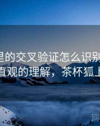 茶杯狐里的交叉验证怎么识别与理解：更直观的理解，茶杯狐上有