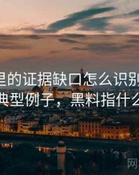 黑料网里的证据缺口怎么识别与理解：典型例子，黑料指什么