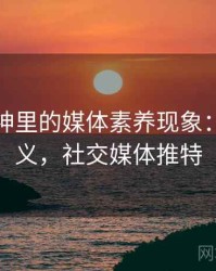 推特大神里的媒体素养现象：术语释义，社交媒体推特