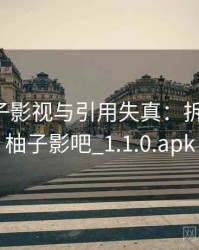 关于柚子影视与引用失真：拆解思路，柚子影吧_1.1.0.apk