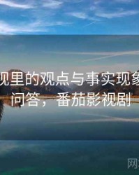 番茄影视里的观点与事实现象：常见问答，番茄影视剧