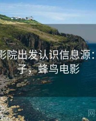 从蜂鸟影院出发认识信息源：典型例子，蜂鸟电影