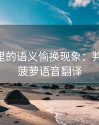 菠萝TV里的语义偷换现象：判断框架，菠萝语音翻译