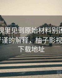 柚子影视里见到原始材料别困惑：从直觉到严谨的解释，柚子影视app官方下载地址