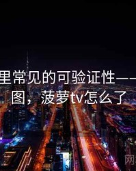 菠萝TV里常见的可验证性——概念地图，菠萝tv怎么了