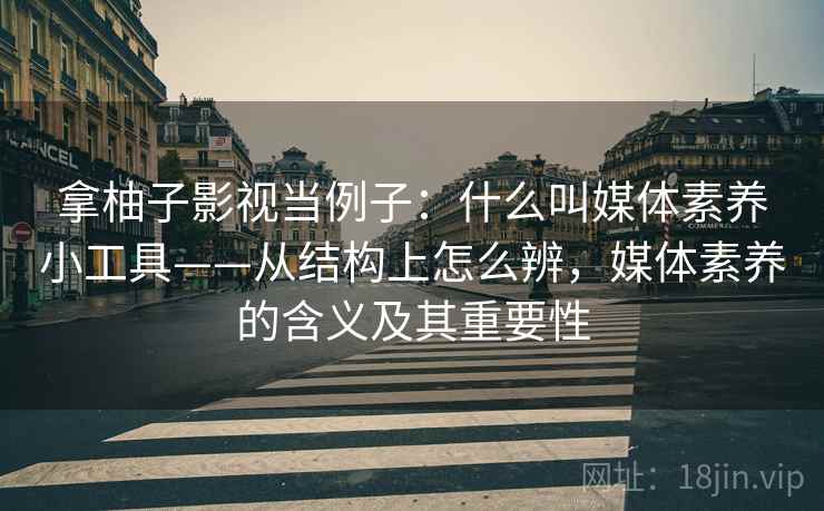 拿柚子影视当例子：什么叫媒体素养小工具——从结构上怎么辨，媒体素养的含义及其重要性