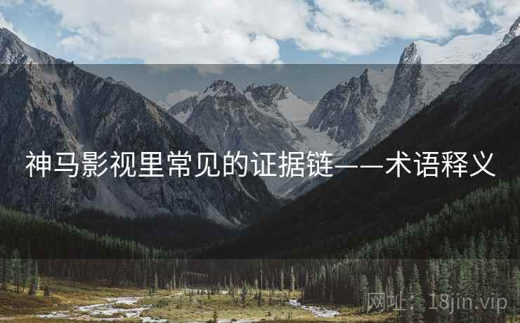 神马影视里常见的证据链——术语释义