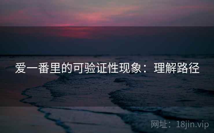爱一番里的可验证性现象：理解路径
