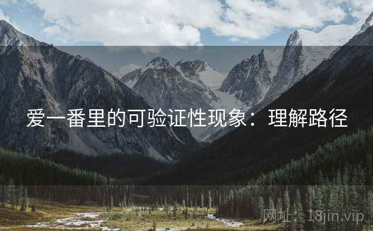 爱一番里的可验证性现象：理解路径