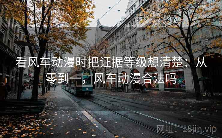 看风车动漫时把证据等级想清楚：从零到一，风车动漫合法吗